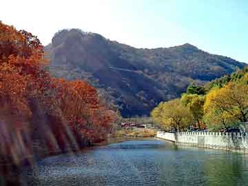 新澳天天彩免费资料大全查询，南山装饰公司